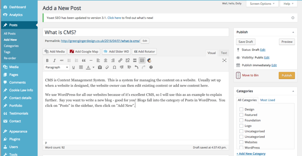 Screenshot of WordPress Content Management System for CMS blog