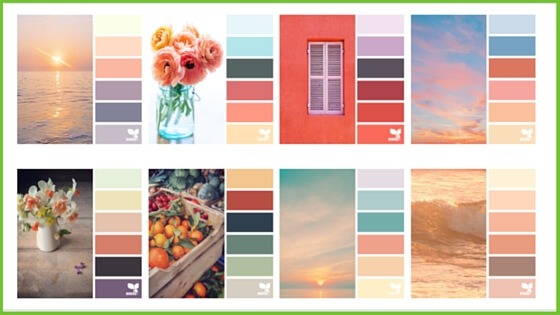 Design Seeds screenshot for colour inspiration blog
